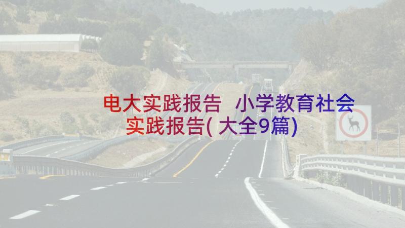 电大实践报告 小学教育社会实践报告(大全9篇)