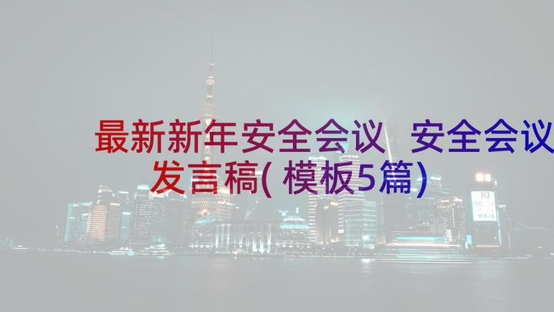 最新新年安全会议 安全会议发言稿(模板5篇)