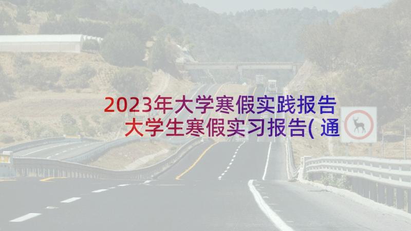 2023年大学寒假实践报告 大学生寒假实习报告(通用5篇)