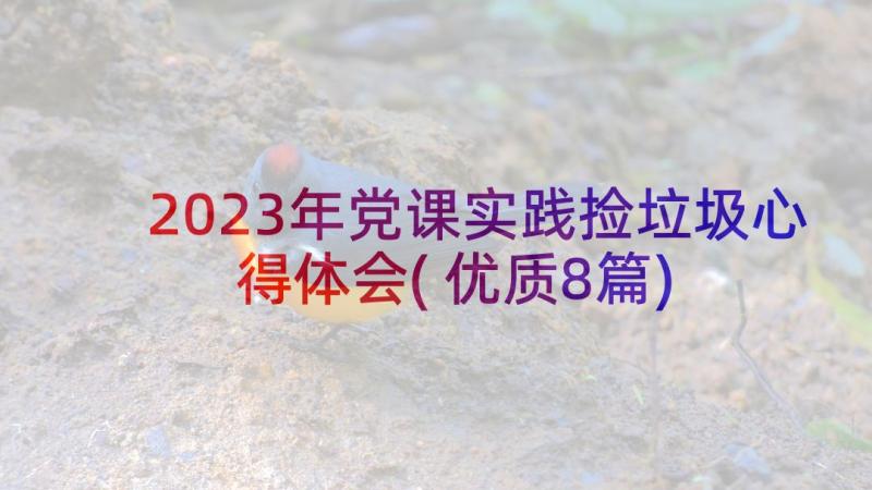 2023年党课实践捡垃圾心得体会(优质8篇)