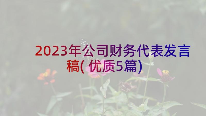 2023年公司财务代表发言稿(优质5篇)