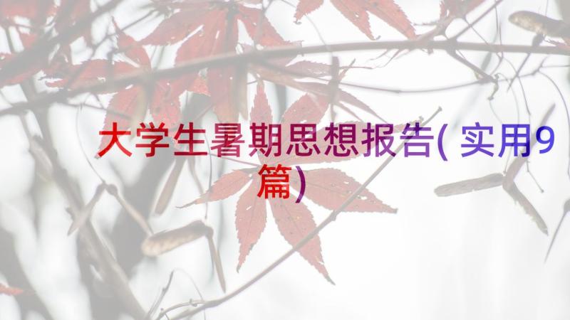 大学生暑期思想报告(实用9篇)