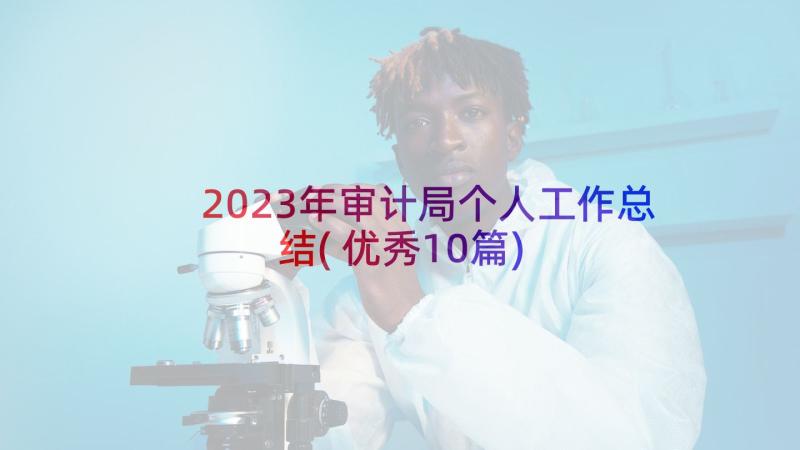 2023年审计局个人工作总结(优秀10篇)