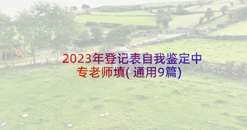 2023年登记表自我鉴定中专老师填(通用9篇)