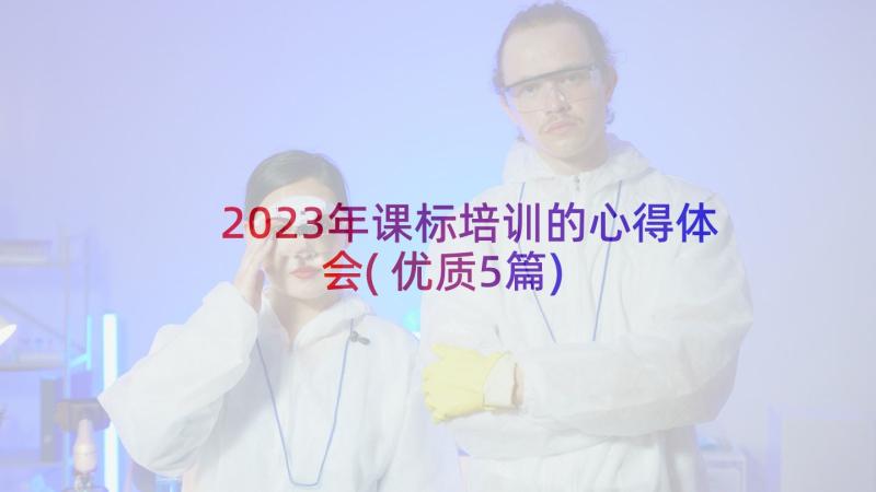 2023年课标培训的心得体会(优质5篇)