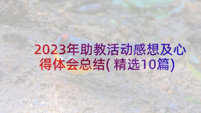 2023年助教活动感想及心得体会总结(精选10篇)