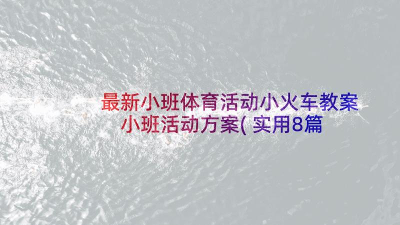 最新小班体育活动小火车教案 小班活动方案(实用8篇)