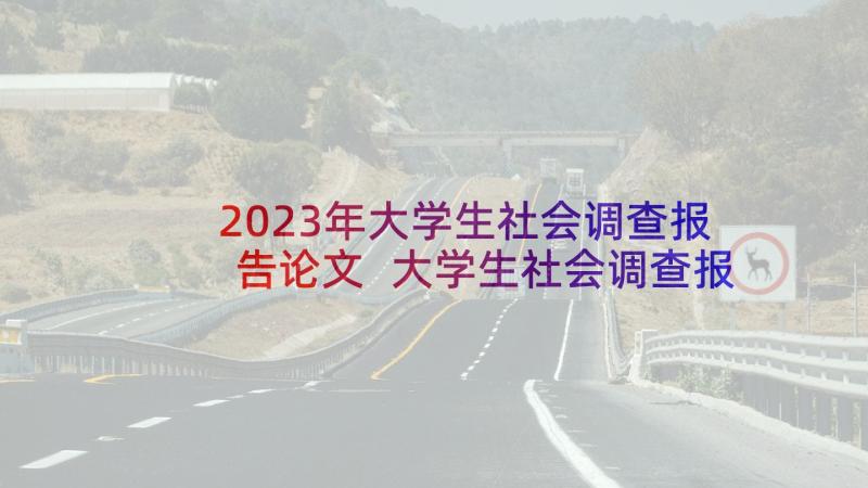 2023年大学生社会调查报告论文 大学生社会调查报告(通用9篇)