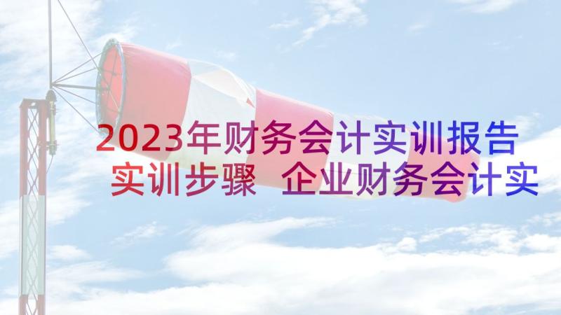 2023年财务会计实训报告实训步骤 企业财务会计实训报告(汇总6篇)