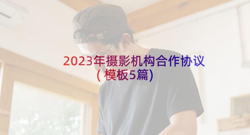 2023年摄影机构合作协议(模板5篇)