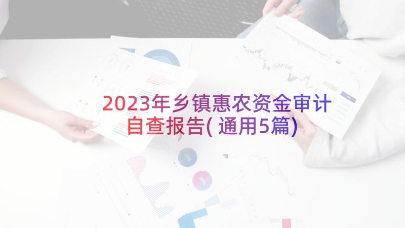 2023年乡镇惠农资金审计自查报告(通用5篇)