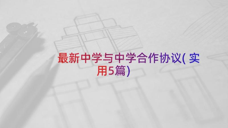 最新中学与中学合作协议(实用5篇)