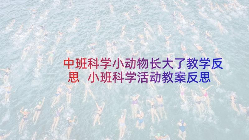 中班科学小动物长大了教学反思 小班科学活动教案反思(优秀10篇)