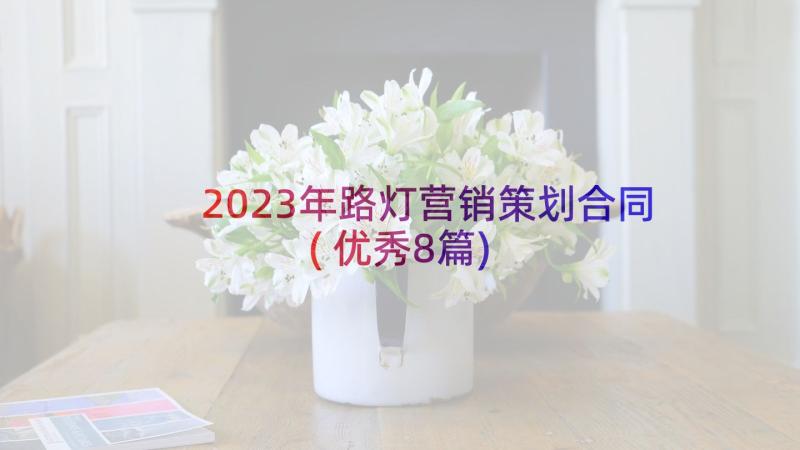 2023年路灯营销策划合同(优秀8篇)