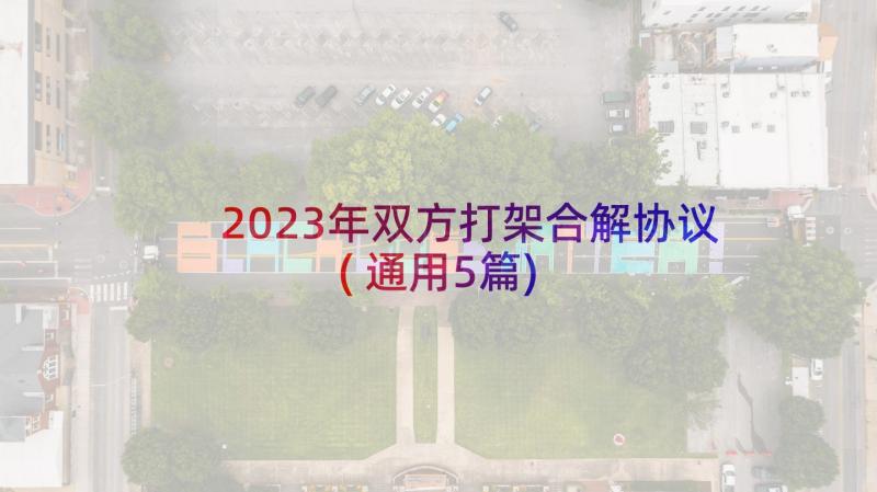 2023年双方打架合解协议(通用5篇)