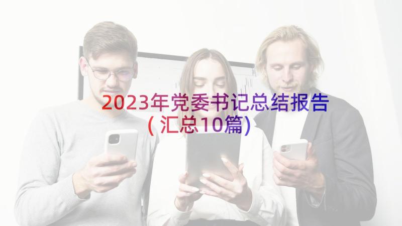 2023年党委书记总结报告(汇总10篇)