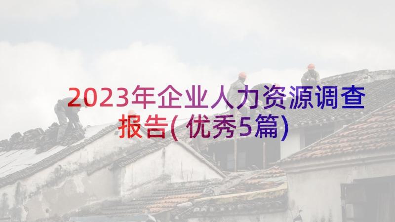 2023年企业人力资源调查报告(优秀5篇)