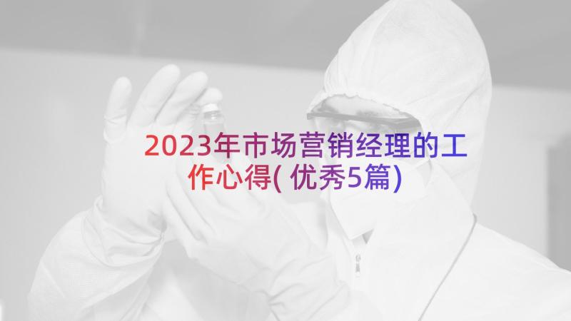 2023年市场营销经理的工作心得(优秀5篇)