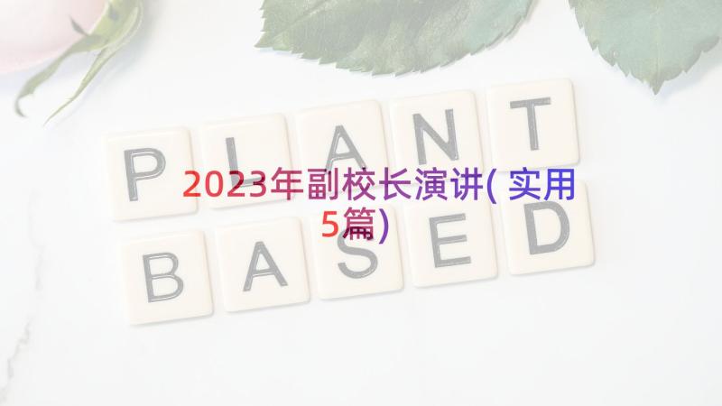 2023年副校长演讲(实用5篇)