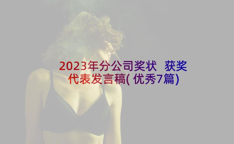 2023年分公司奖状 获奖代表发言稿(优秀7篇)