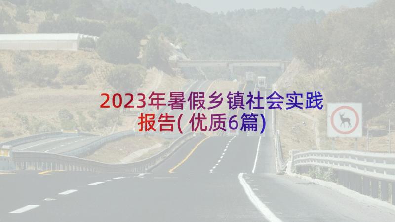 2023年暑假乡镇社会实践报告(优质6篇)