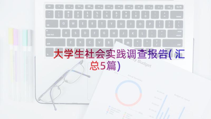 大学生社会实践调查报告(汇总5篇)