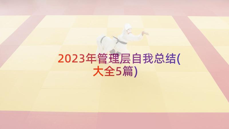 2023年管理层自我总结(大全5篇)