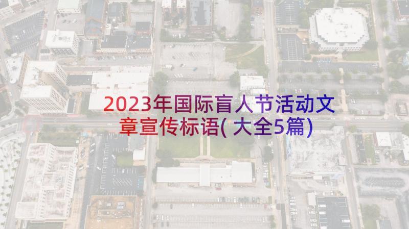 2023年国际盲人节活动文章宣传标语(大全5篇)