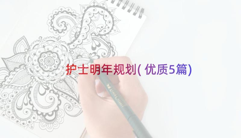 护士明年规划(优质5篇)