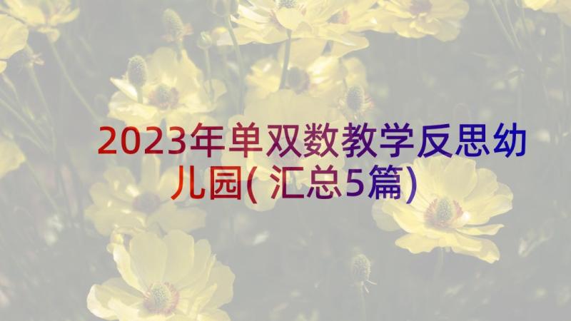 2023年单双数教学反思幼儿园(汇总5篇)