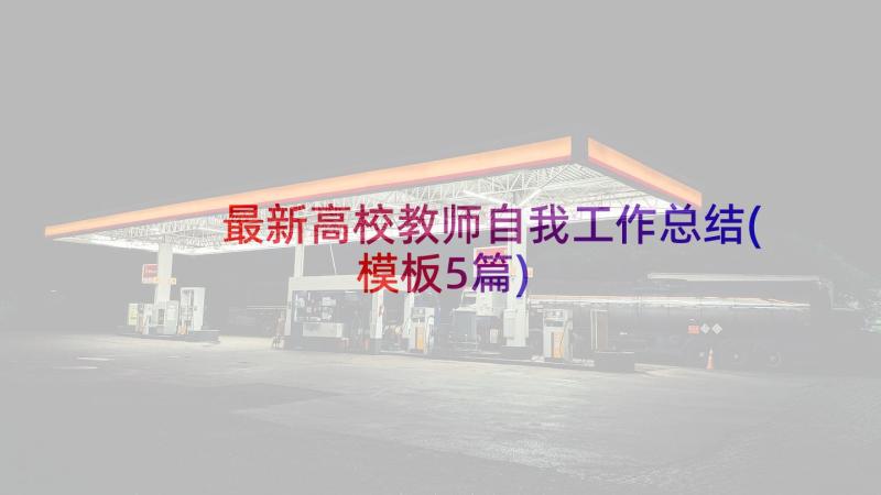 最新高校教师自我工作总结(模板5篇)