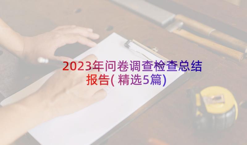2023年问卷调查检查总结报告(精选5篇)