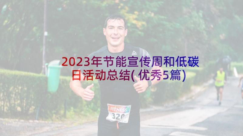 2023年节能宣传周和低碳日活动总结(优秀5篇)