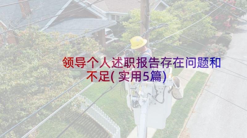 领导个人述职报告存在问题和不足(实用5篇)