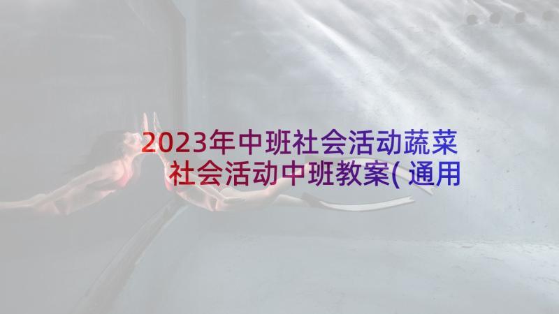 2023年中班社会活动蔬菜 社会活动中班教案(通用6篇)