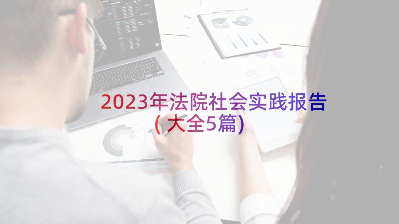 2023年法院社会实践报告(大全5篇)