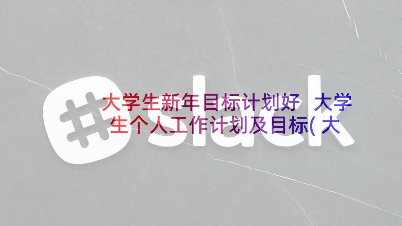 大学生新年目标计划好 大学生个人工作计划及目标(大全5篇)