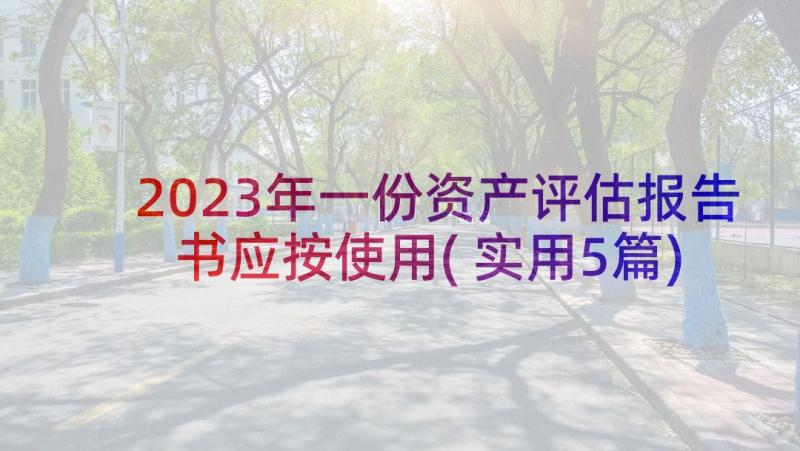 2023年一份资产评估报告书应按使用(实用5篇)