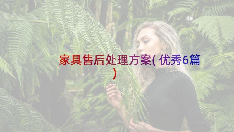 家具售后处理方案(优秀6篇)