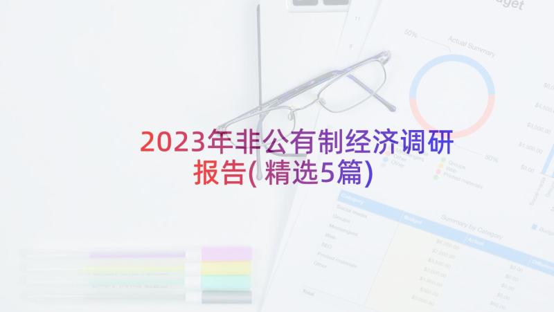 2023年非公有制经济调研报告(精选5篇)