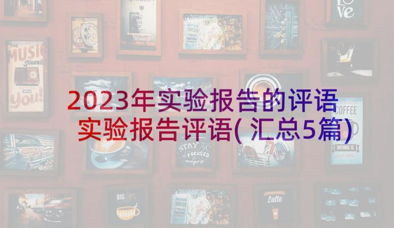 2023年实验报告的评语 实验报告评语(汇总5篇)