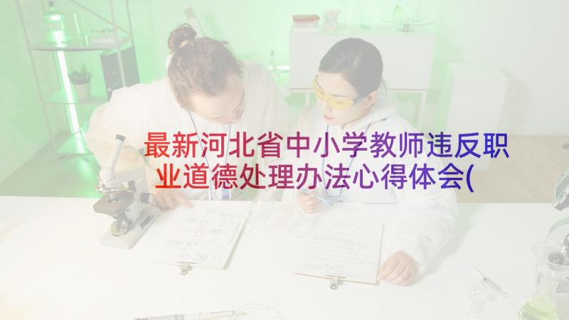 最新河北省中小学教师违反职业道德处理办法心得体会(大全5篇)