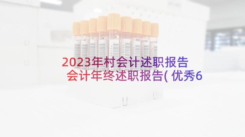 2023年村会计述职报告 会计年终述职报告(优秀6篇)