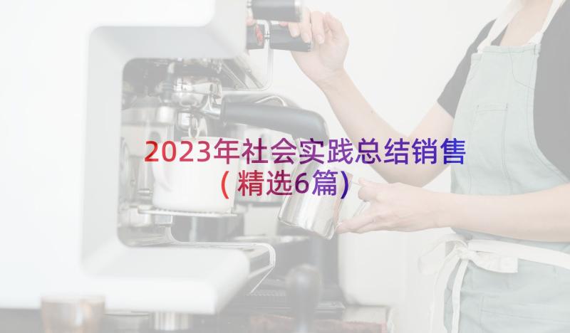 2023年社会实践总结销售(精选6篇)