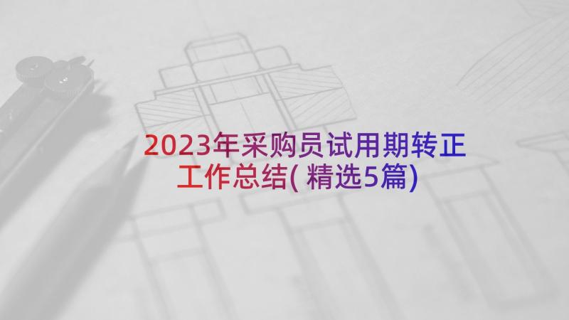 2023年采购员试用期转正工作总结(精选5篇)