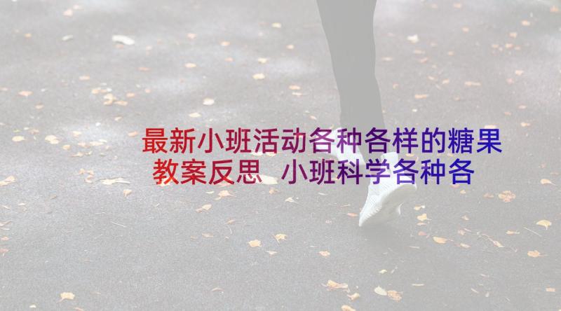 最新小班活动各种各样的糖果教案反思 小班科学各种各样的糖果教案(优质5篇)