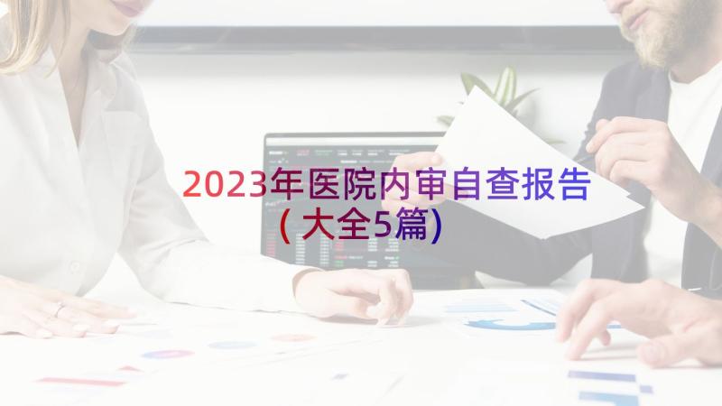 2023年医院内审自查报告(大全5篇)