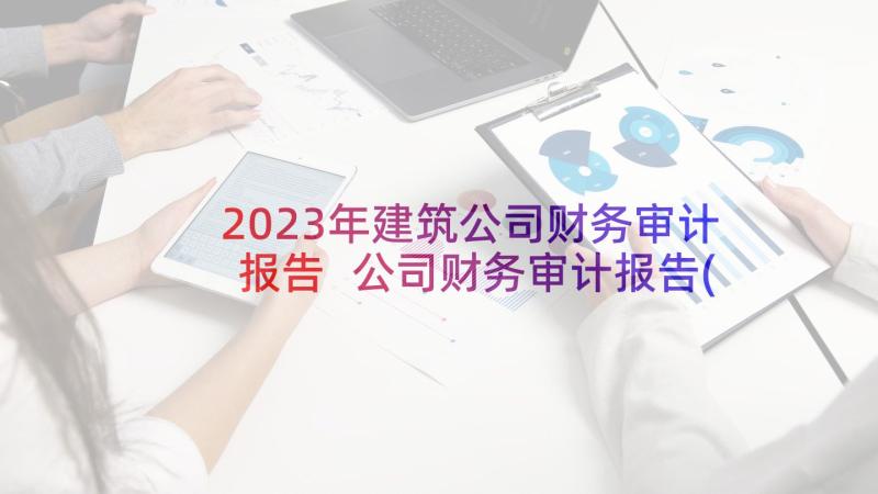 2023年建筑公司财务审计报告 公司财务审计报告(模板5篇)