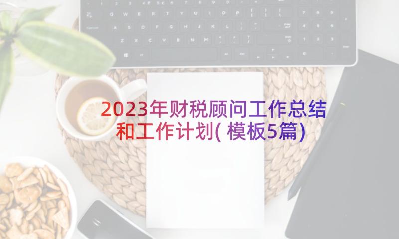 2023年财税顾问工作总结和工作计划(模板5篇)