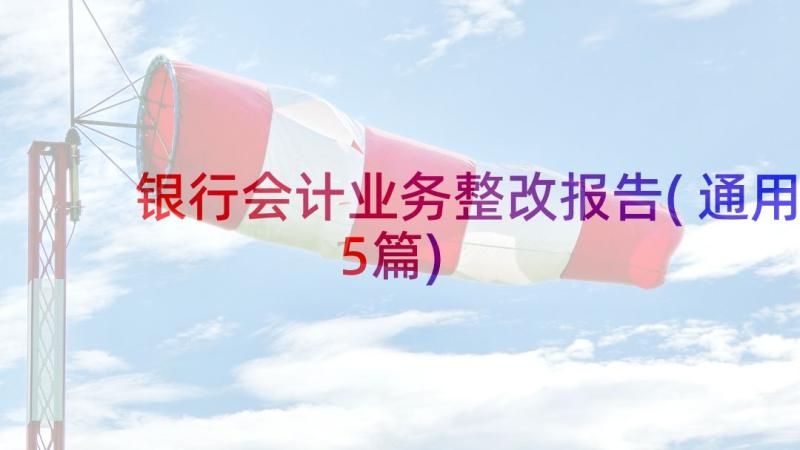 银行会计业务整改报告(通用5篇)